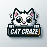 Cat Craze